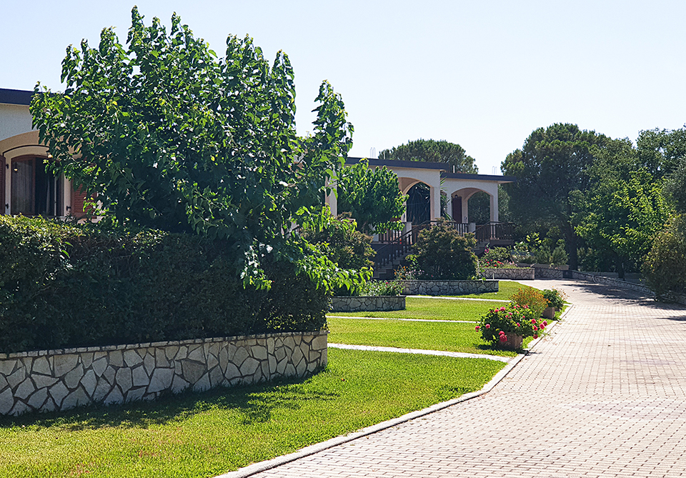 garden